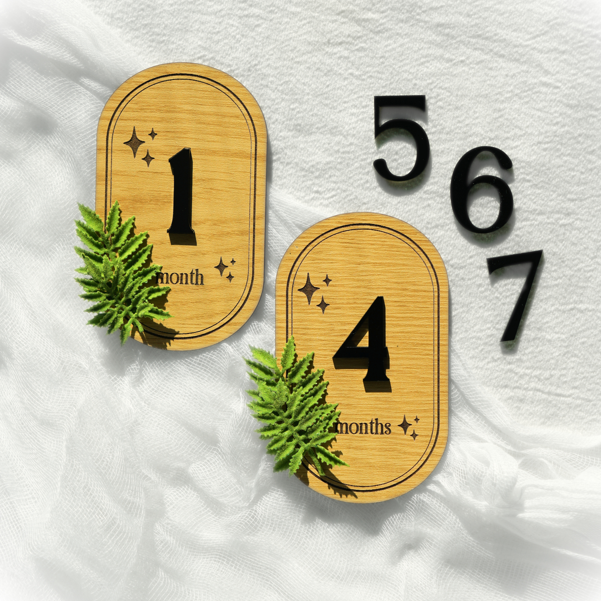 Baby Monthly Milestone Fern