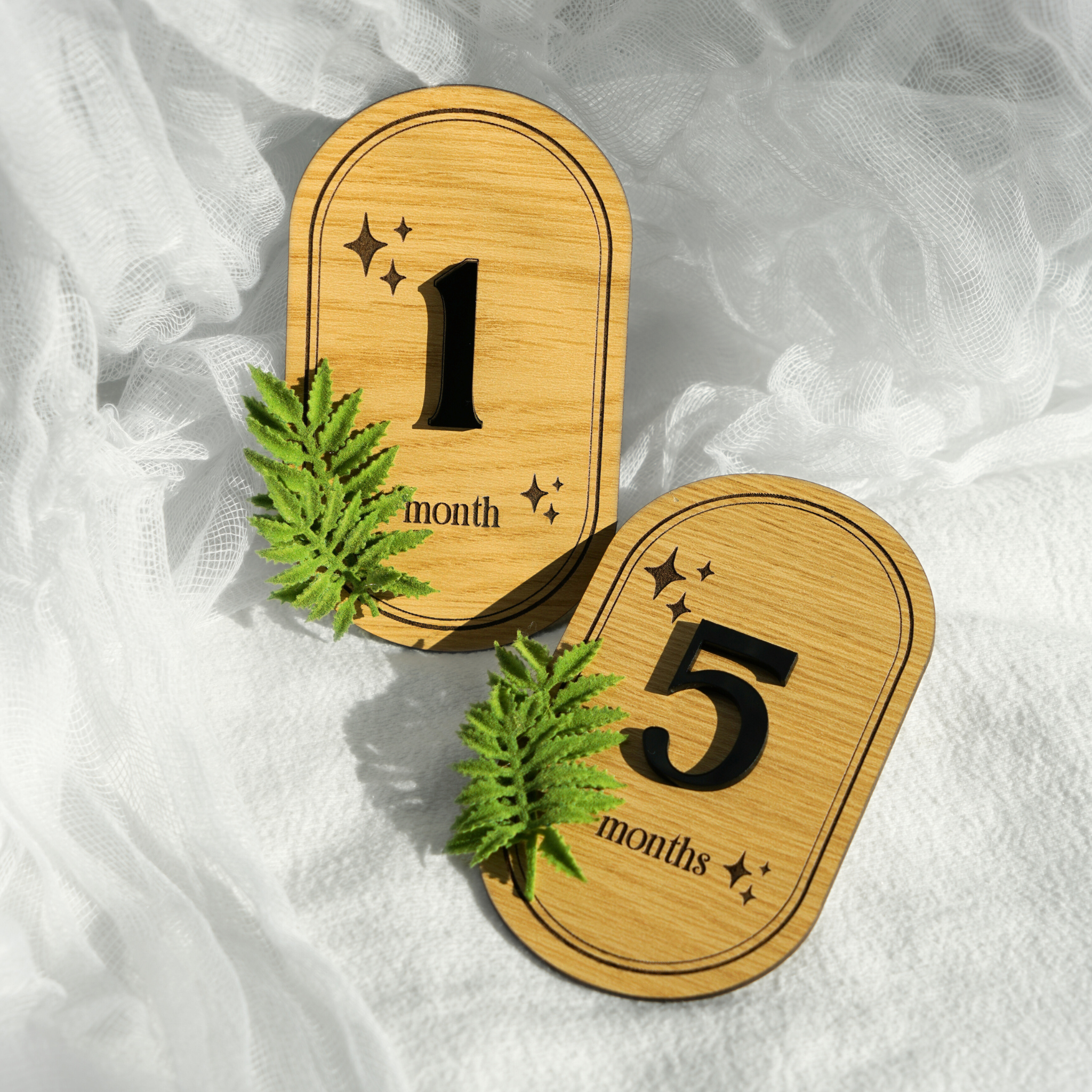 Baby Monthly Milestone Fern