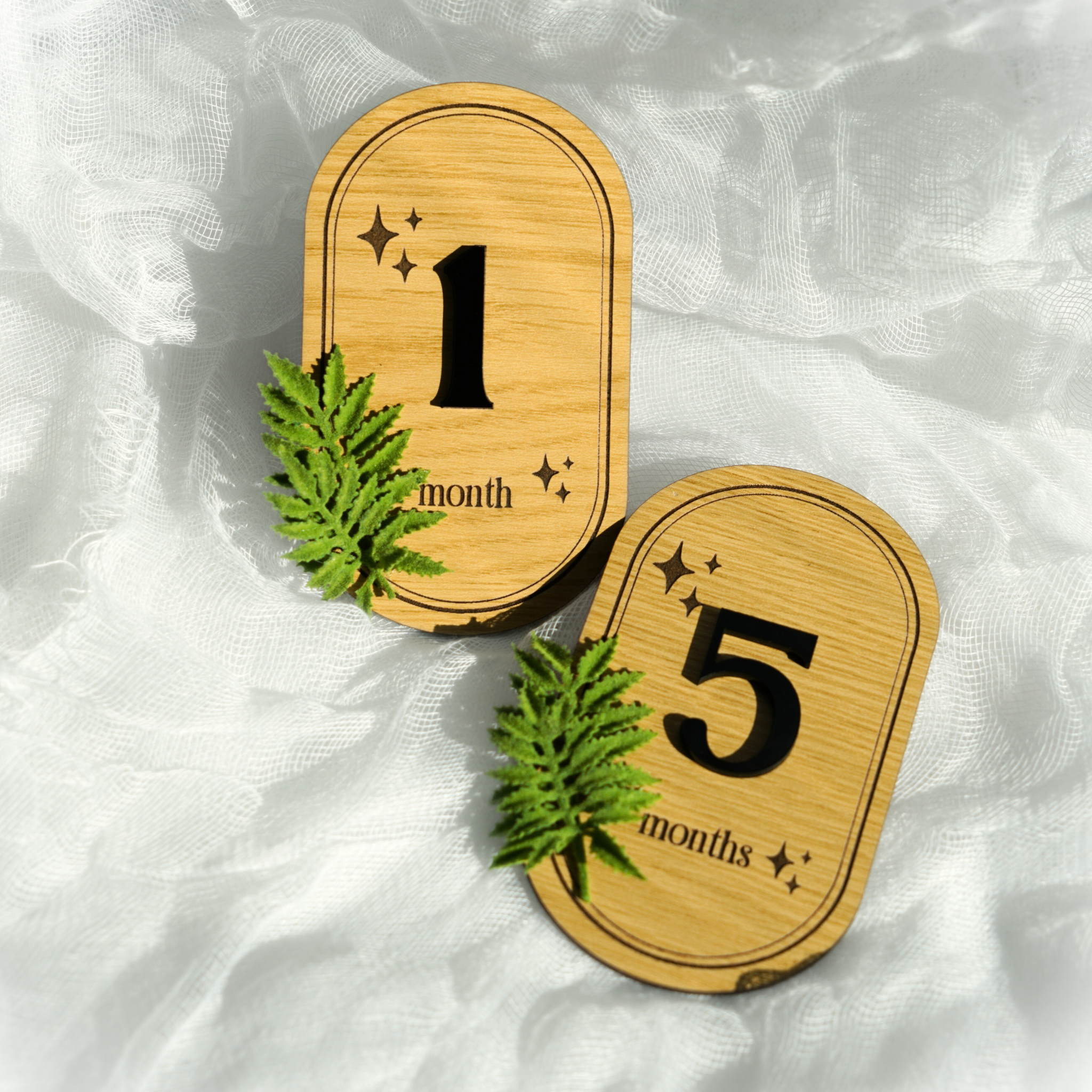 Baby Monthly Milestone Fern