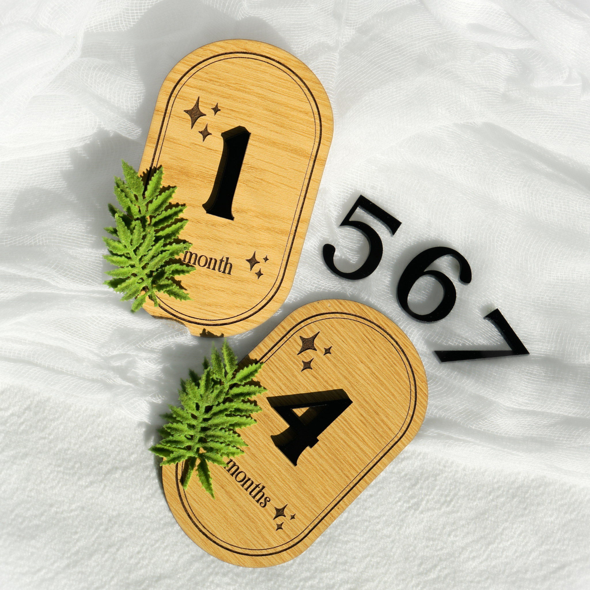 Baby Monthly Milestone Fern
