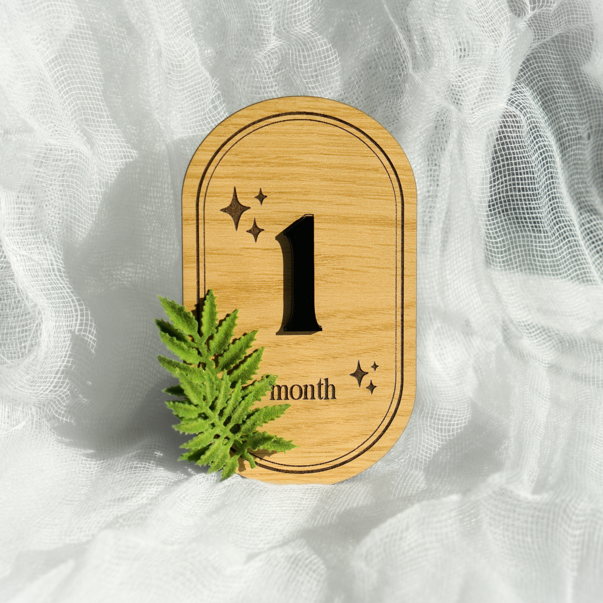 Fern Baby Monthly Milestone
