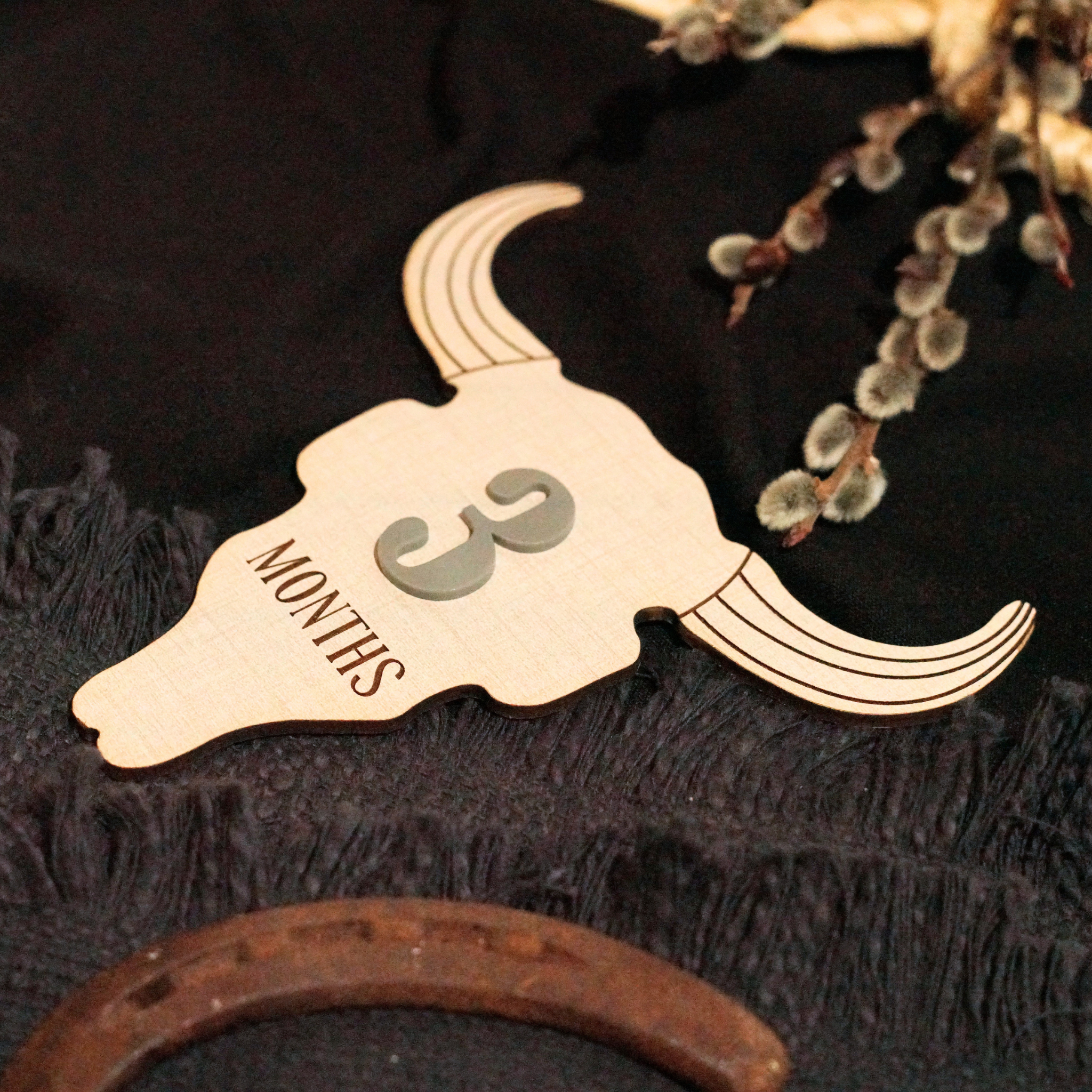 Cow Skull Western Ranch Cowboy Cowgirl Desert Baby Monthly Milestone