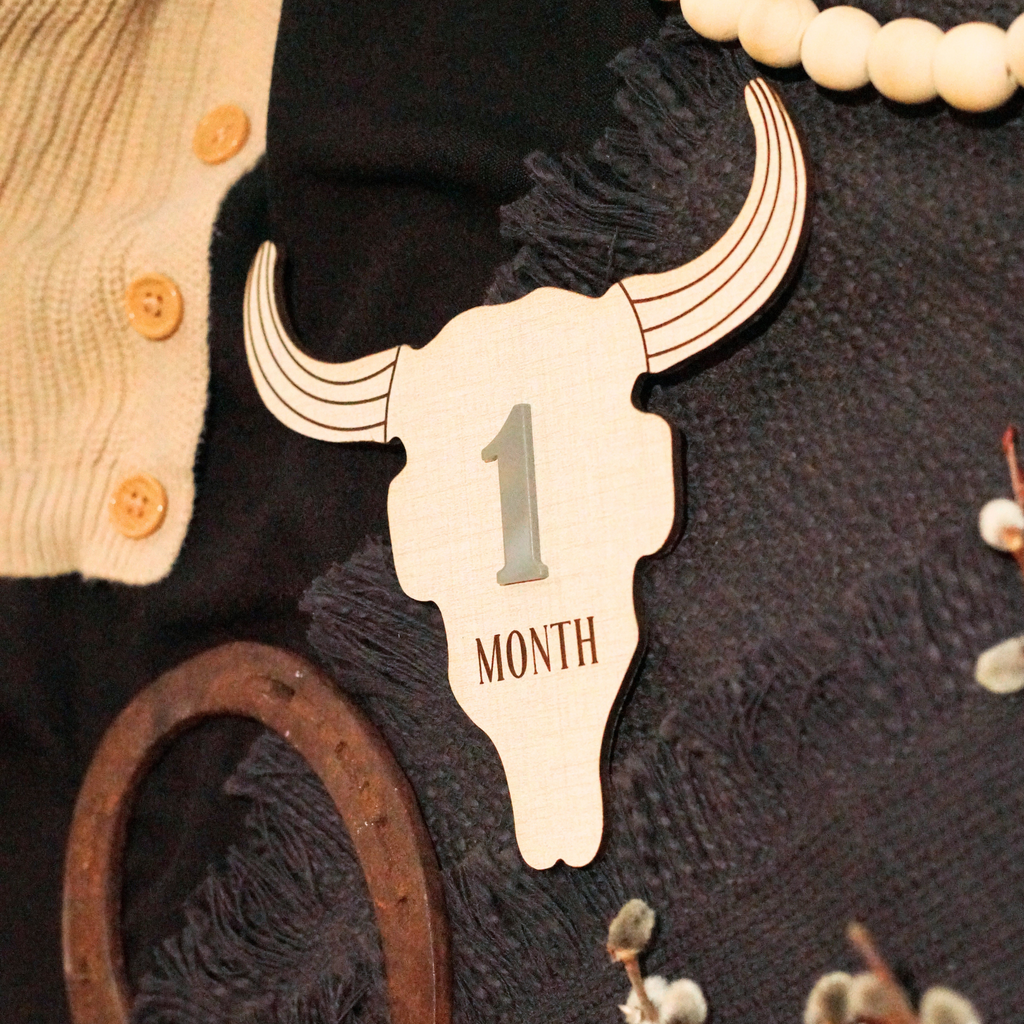 Cow Skull Western Ranch Cowboy Cowgirl Desert Baby Monthly Milestone