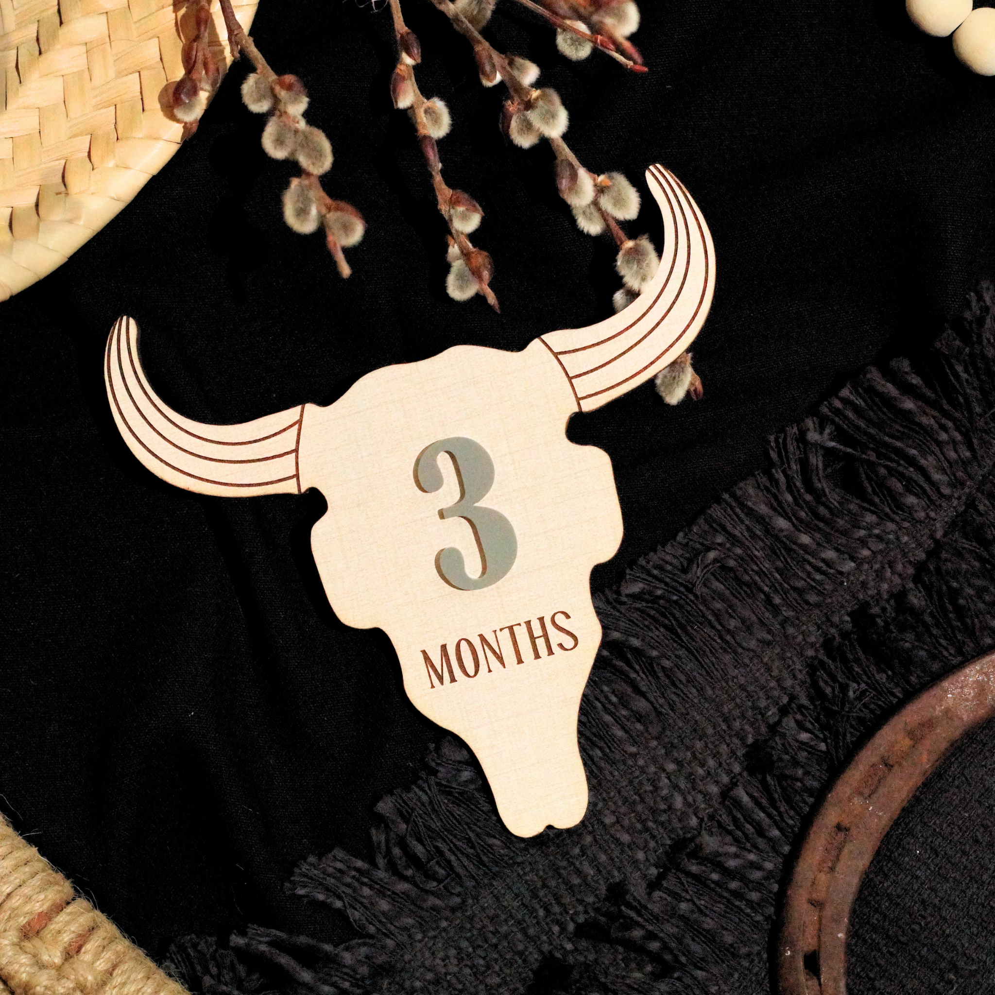 Cow Skull Western Ranch Cowboy Cowgirl Desert Baby Monthly Milestone
