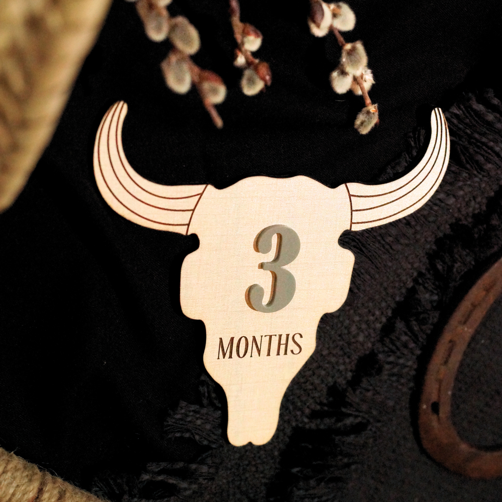 Cow Skull Western Ranch Cowboy Cowgirl Desert Baby Monthly Milestone