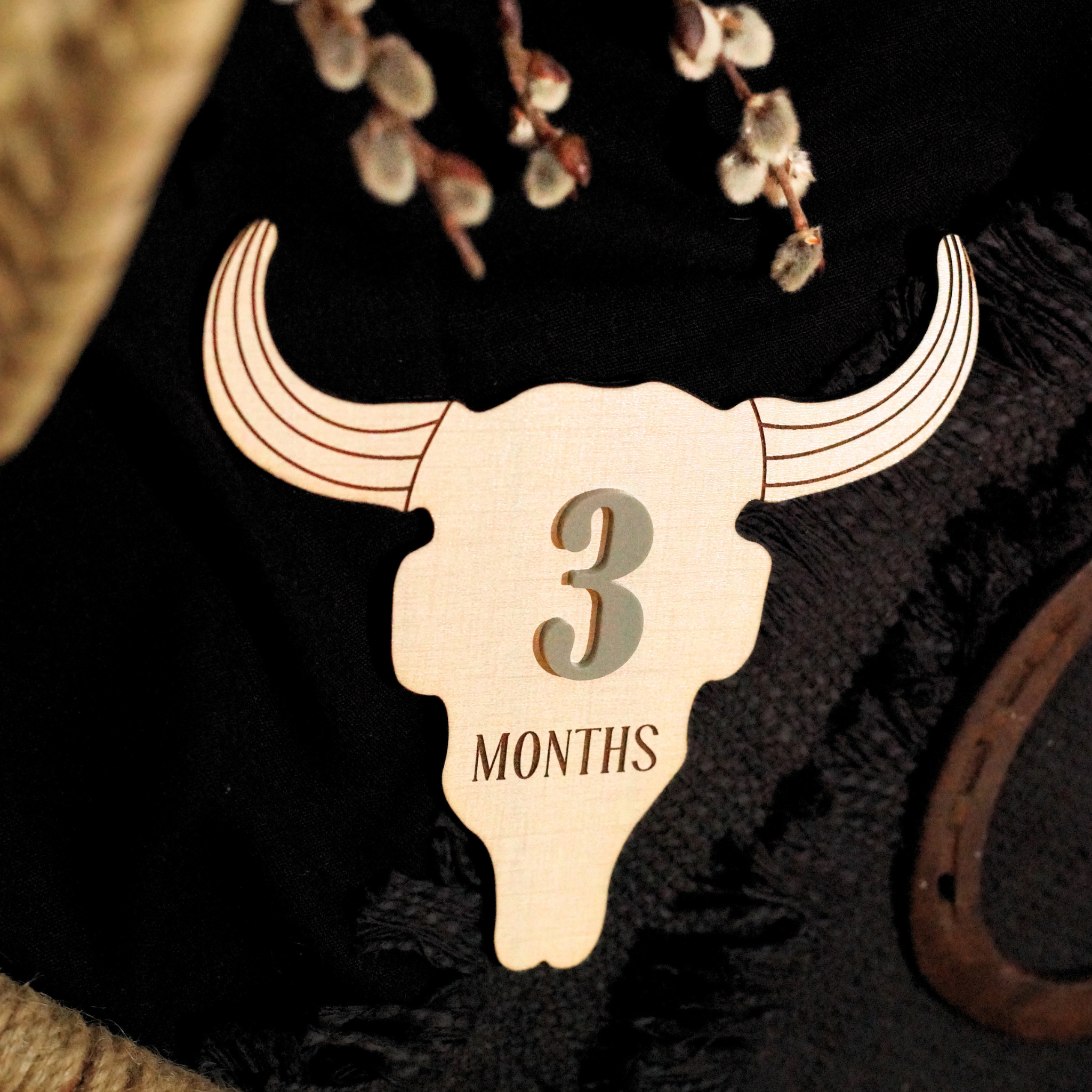 Cow Skull Western Ranch Cowboy Cowgirl Desert Baby Monthly Milestone