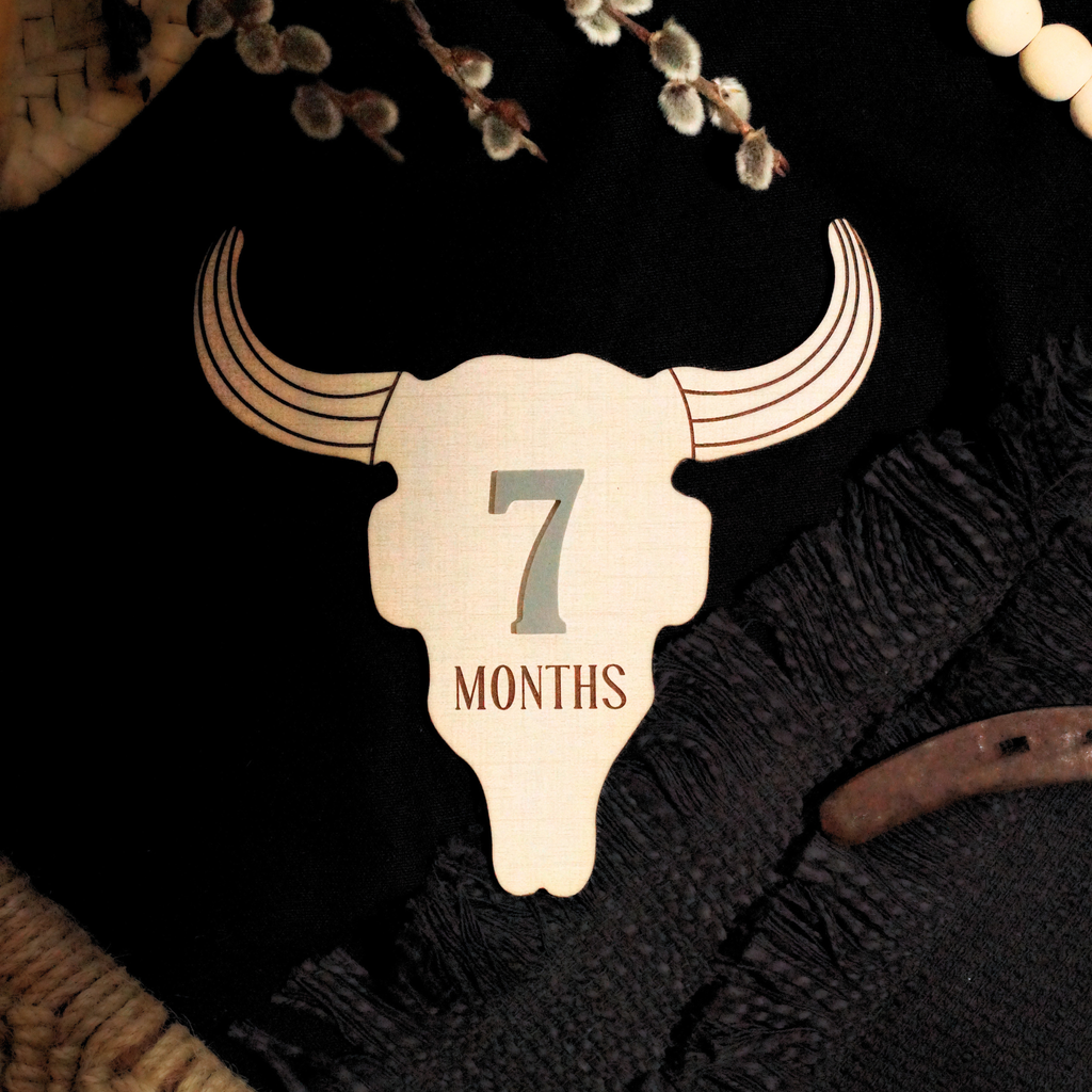 Cow Skull Western Ranch Cowboy Cowgirl Desert Baby Monthly Milestone