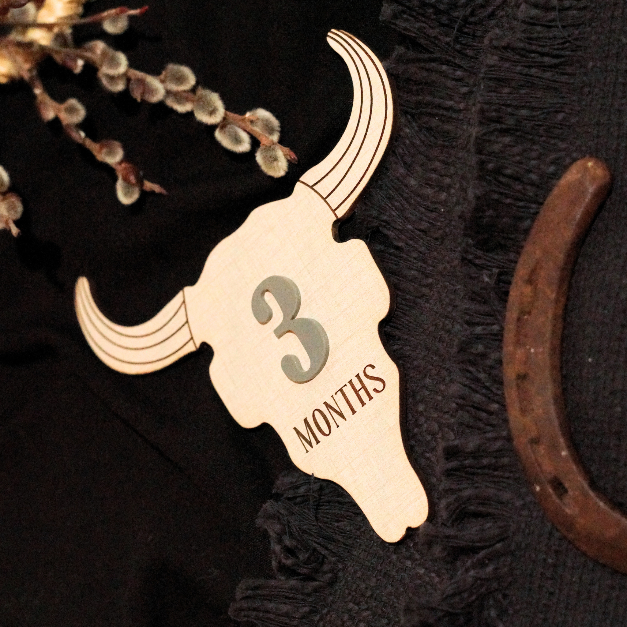 Cow Skull Western Ranch Cowboy Cowgirl Desert Baby Monthly Milestone