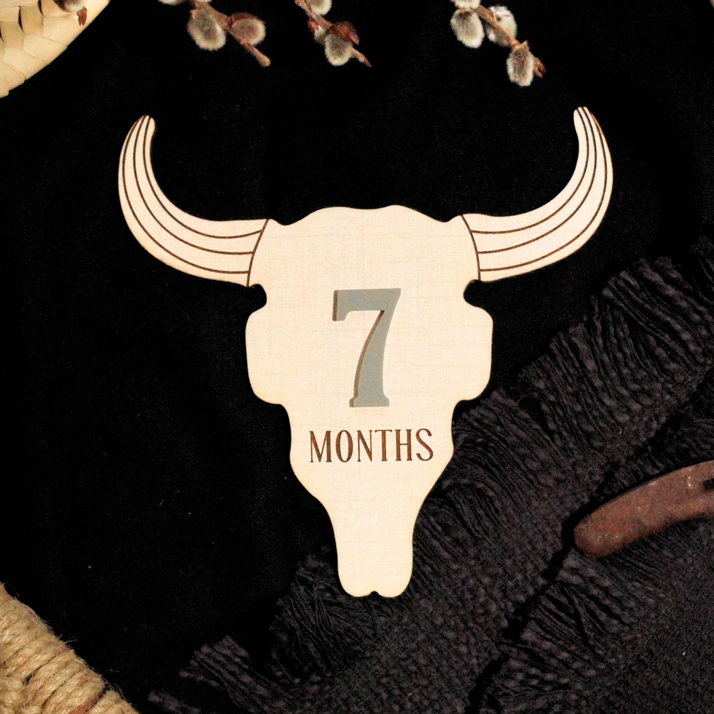 Cow Skull Western Ranch Cowboy Cowgirl Desert Baby Monthly Milestone