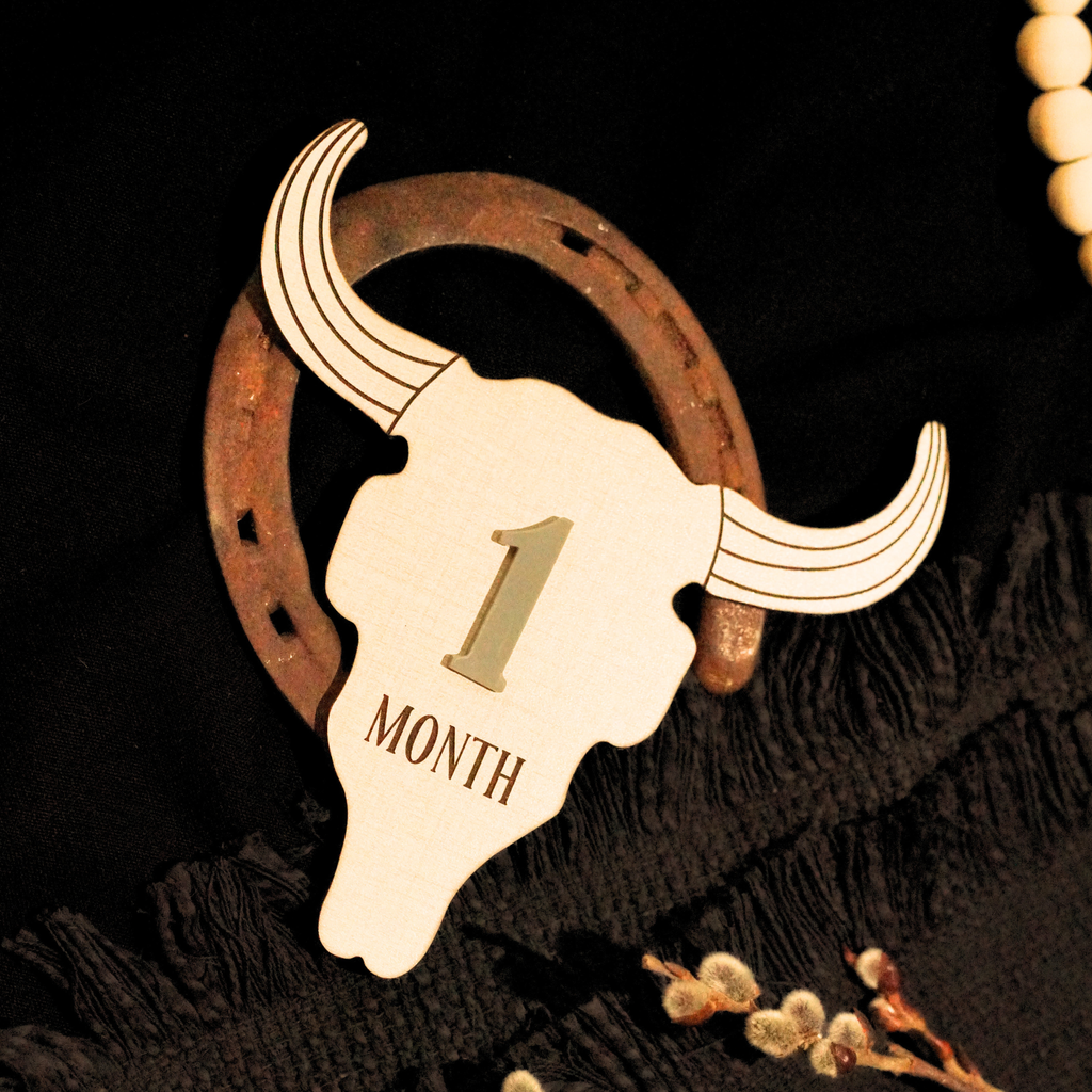 Cow Skull Western Ranch Cowboy Cowgirl Desert Baby Monthly Milestone