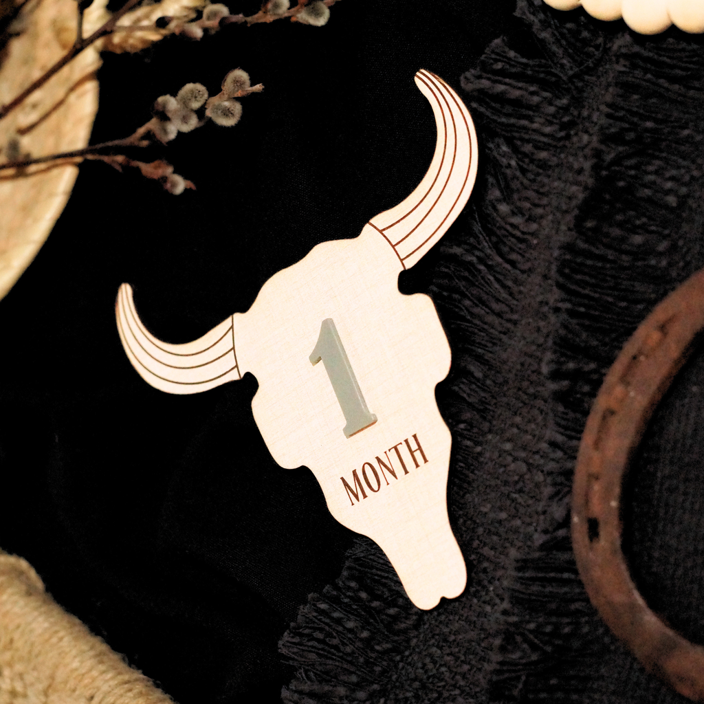Cow Skull Western Ranch Cowboy Cowgirl Desert Baby Monthly Milestone