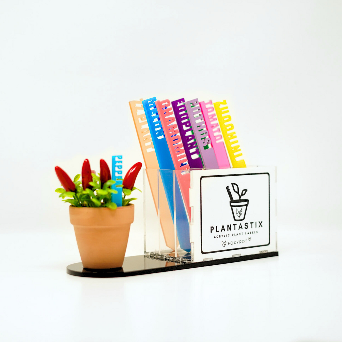 Plantastix Store Display Box