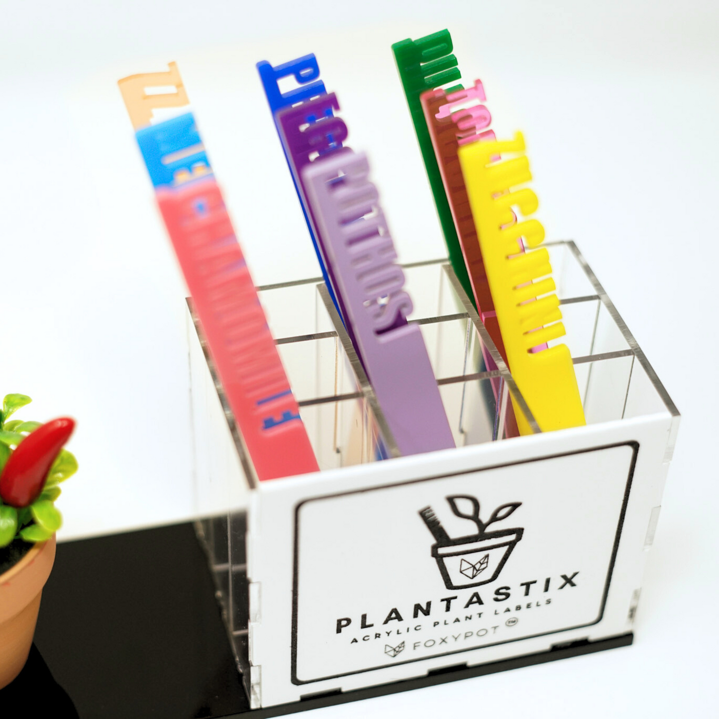 Plantastix Store Display Box