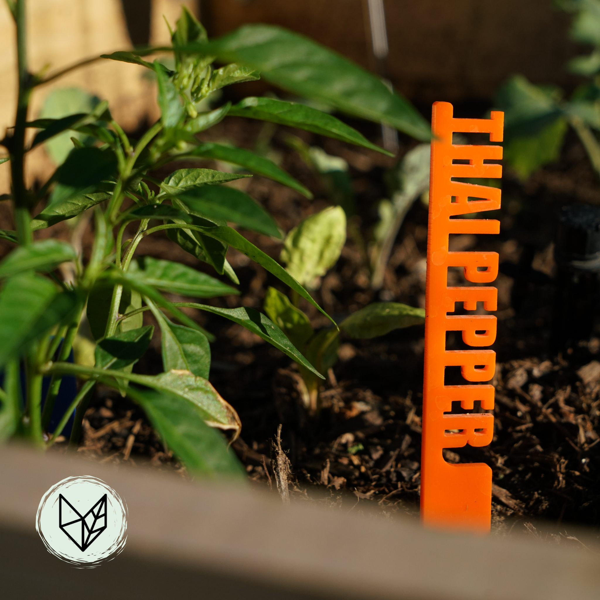 Plantastix Herb Labels (choose your labels)