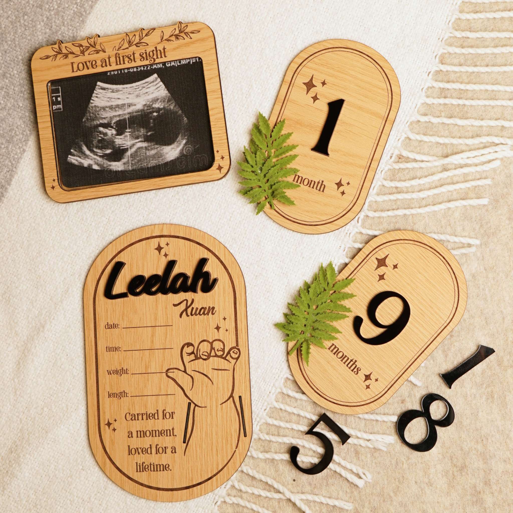 Fern Baby Memory Box Set