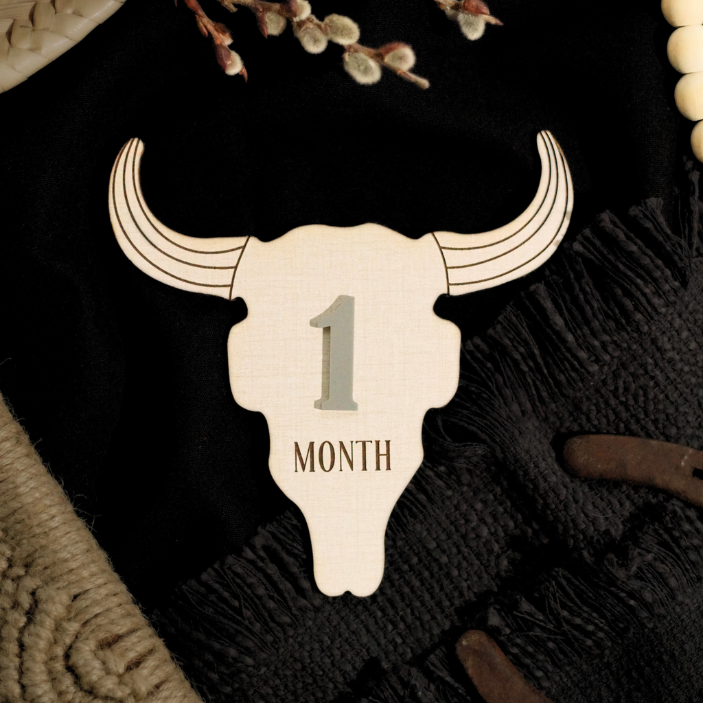 Cow Skull Western Ranch Cowboy Cowgirl Desert Baby Monthly Milestone